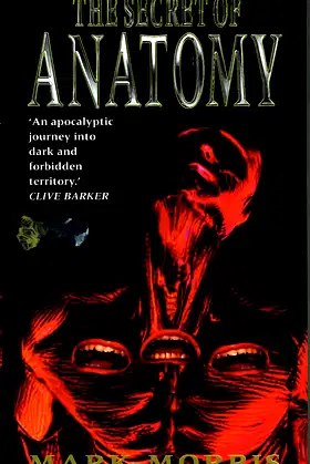 The Secret of Anatomy poster
