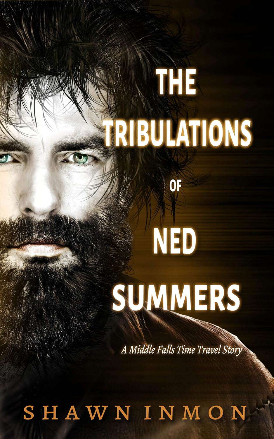 The Tribulations of Ned Summers: A Middle Falls Time Travel Story poster