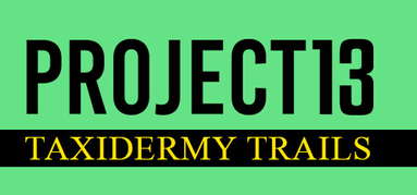 Project 13: Taxidermy Trails capsule