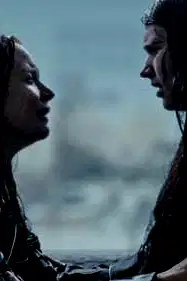 Fallen poster