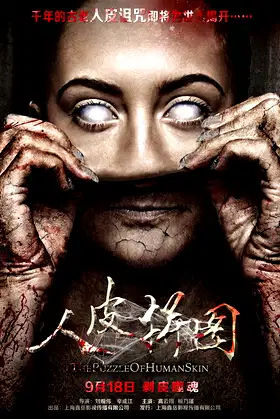 The Puzzle of Human Skin poster