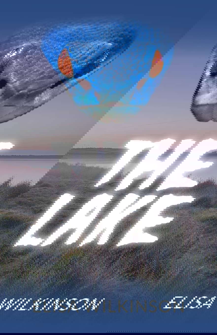 The Lake poster