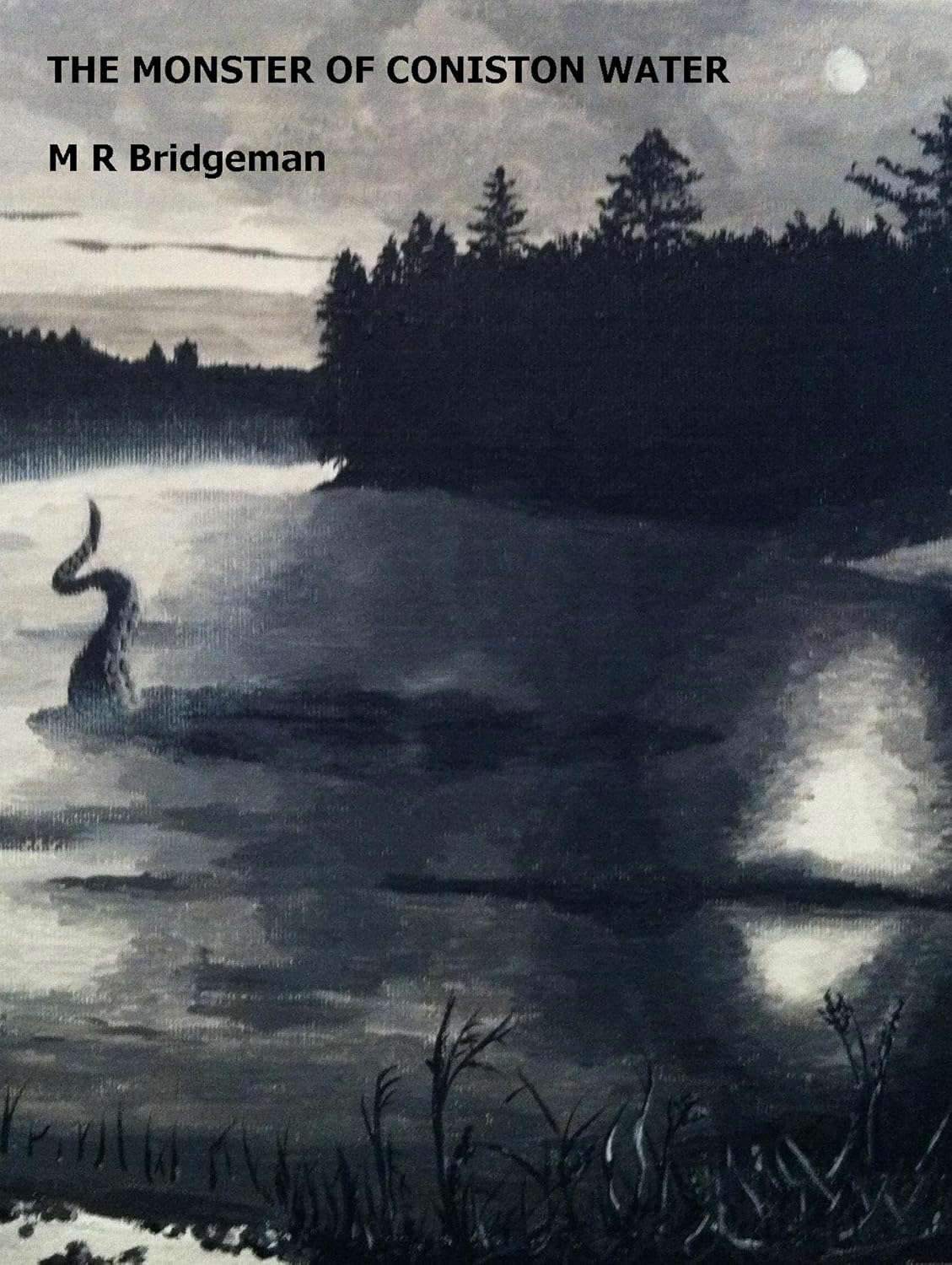 The Monster of Coniston Water poster