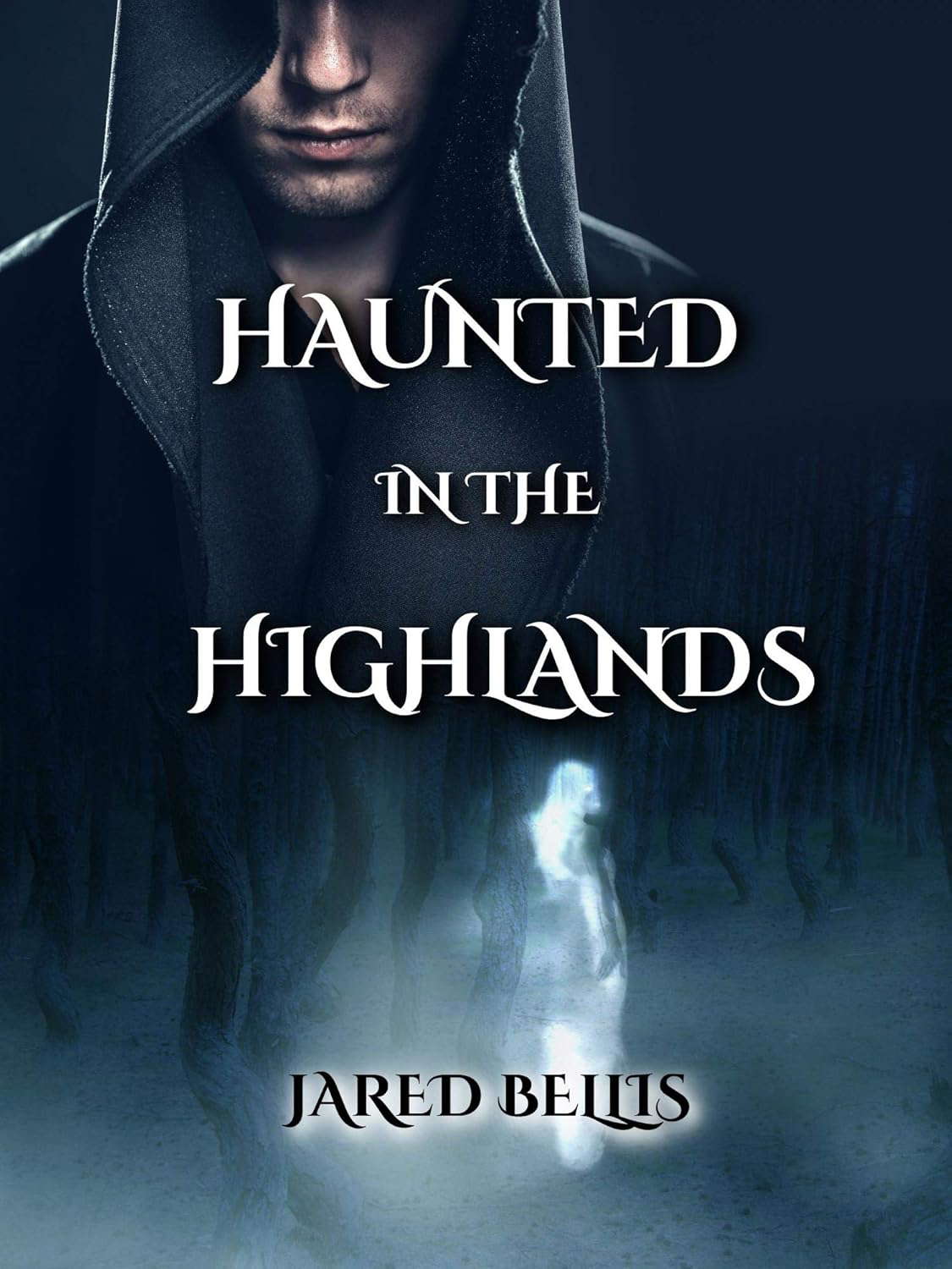 Haunted in the Highlands (Ozark Mountain Mysteries Book 2) poster