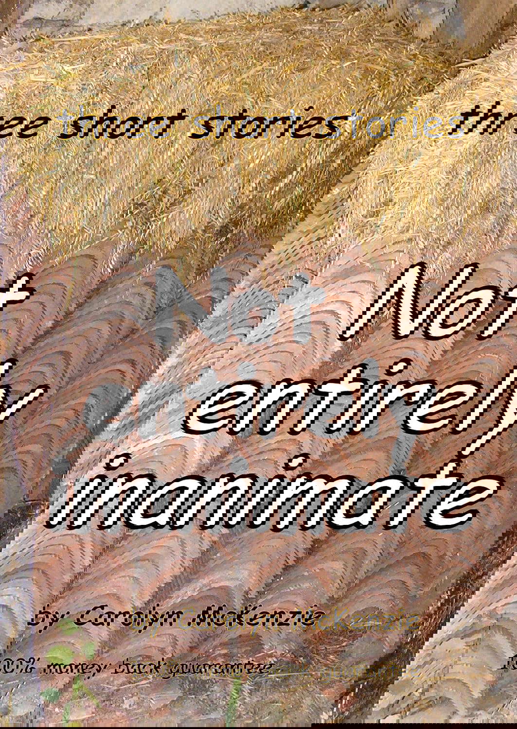 Not entirely inanimate: three short stories poster