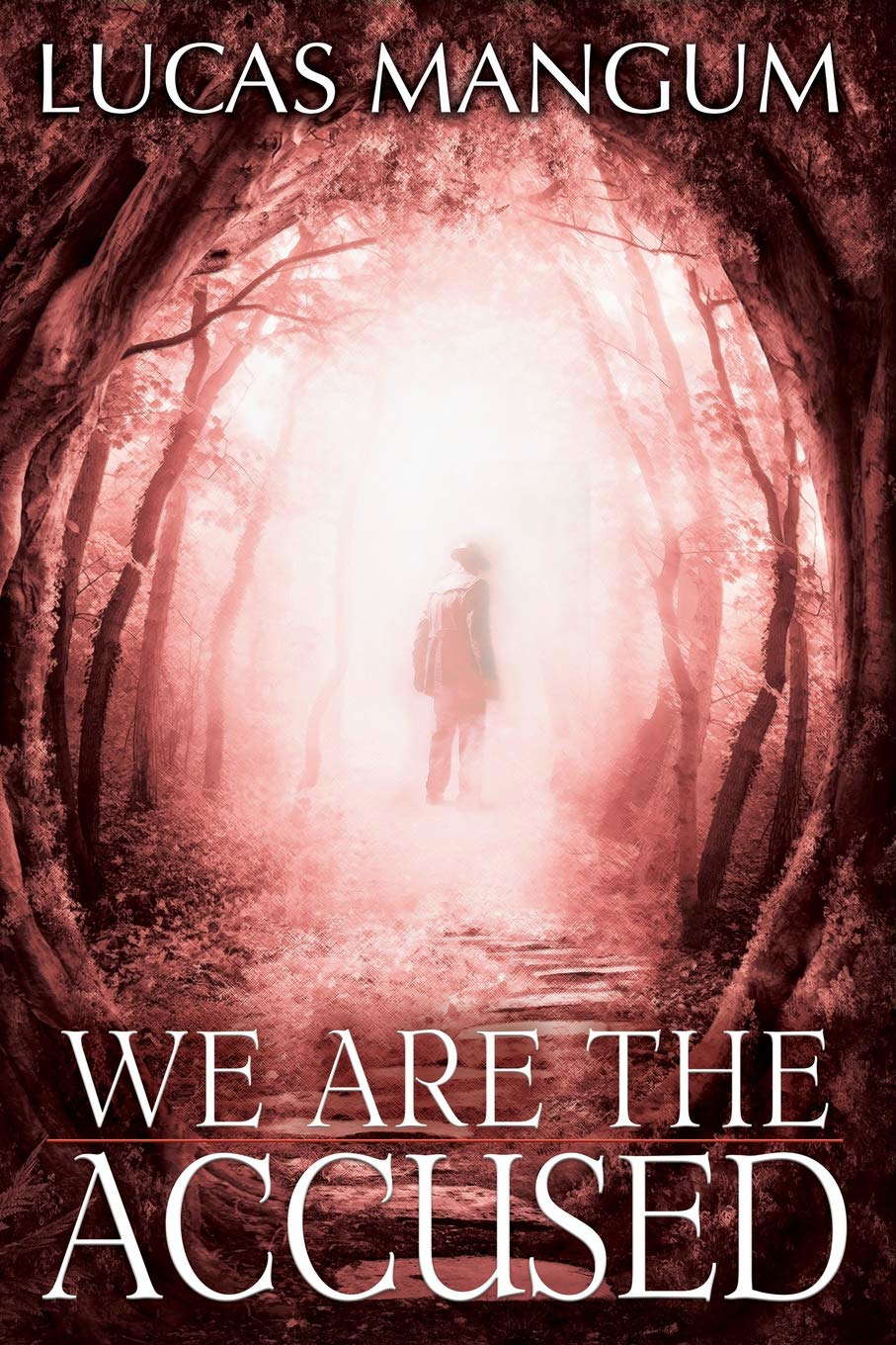We Are The Accused poster