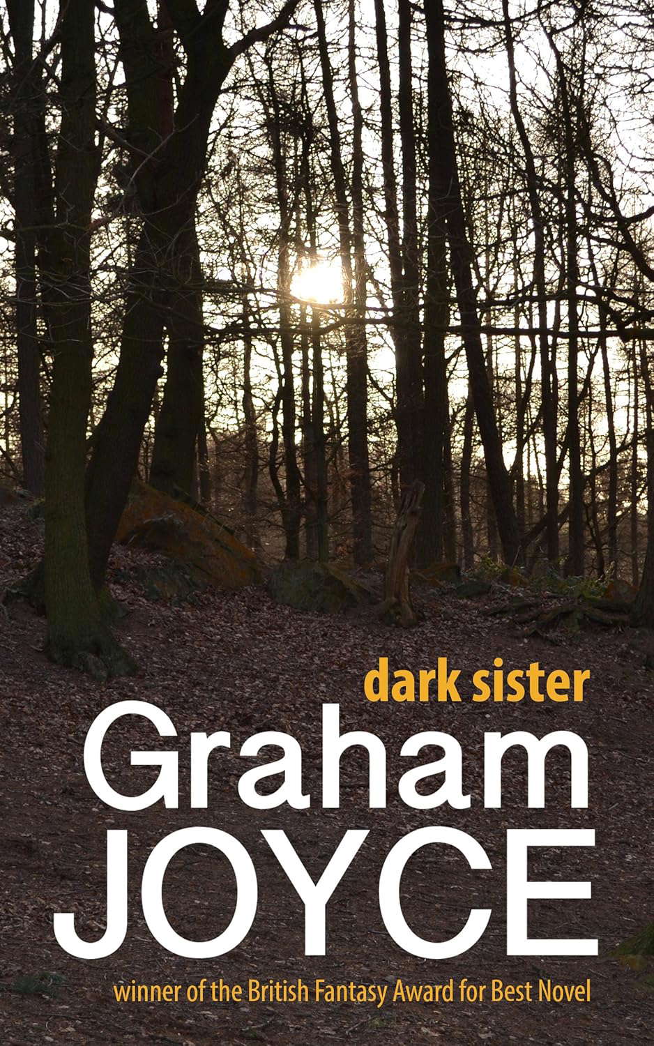 Dark Sister poster