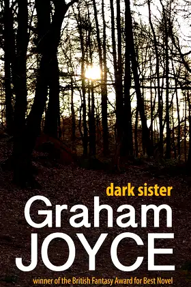 Dark Sister poster