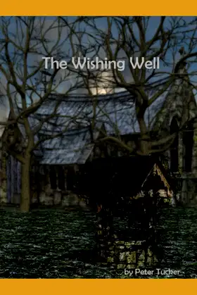 The Wishing Well poster