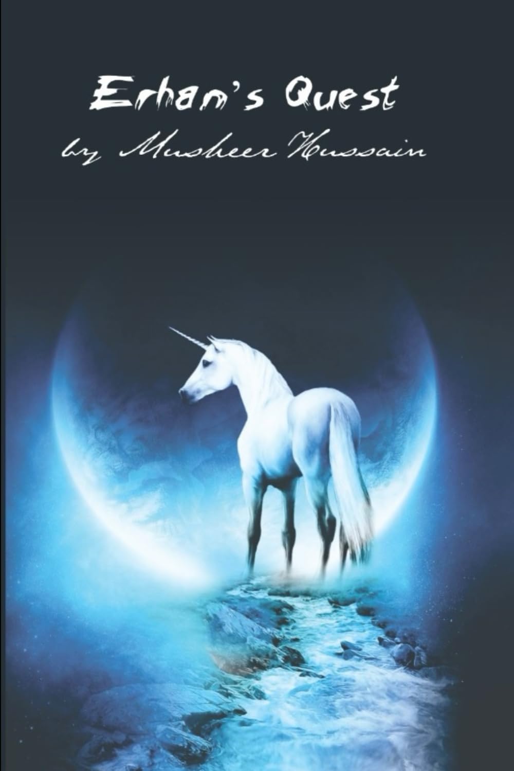 Erhan's Quest poster