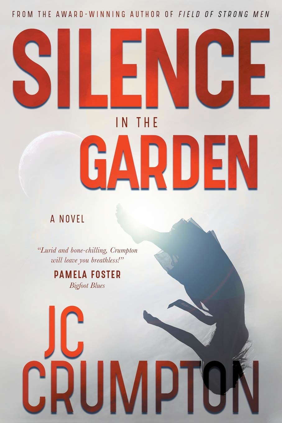 Silence in the Garden poster