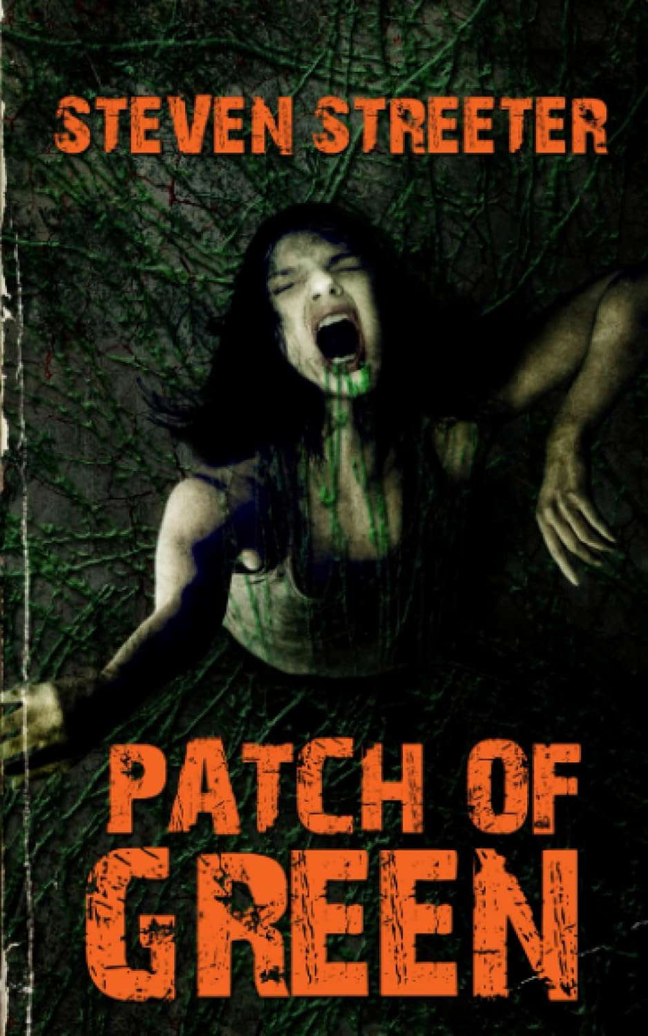 Patch of Green poster