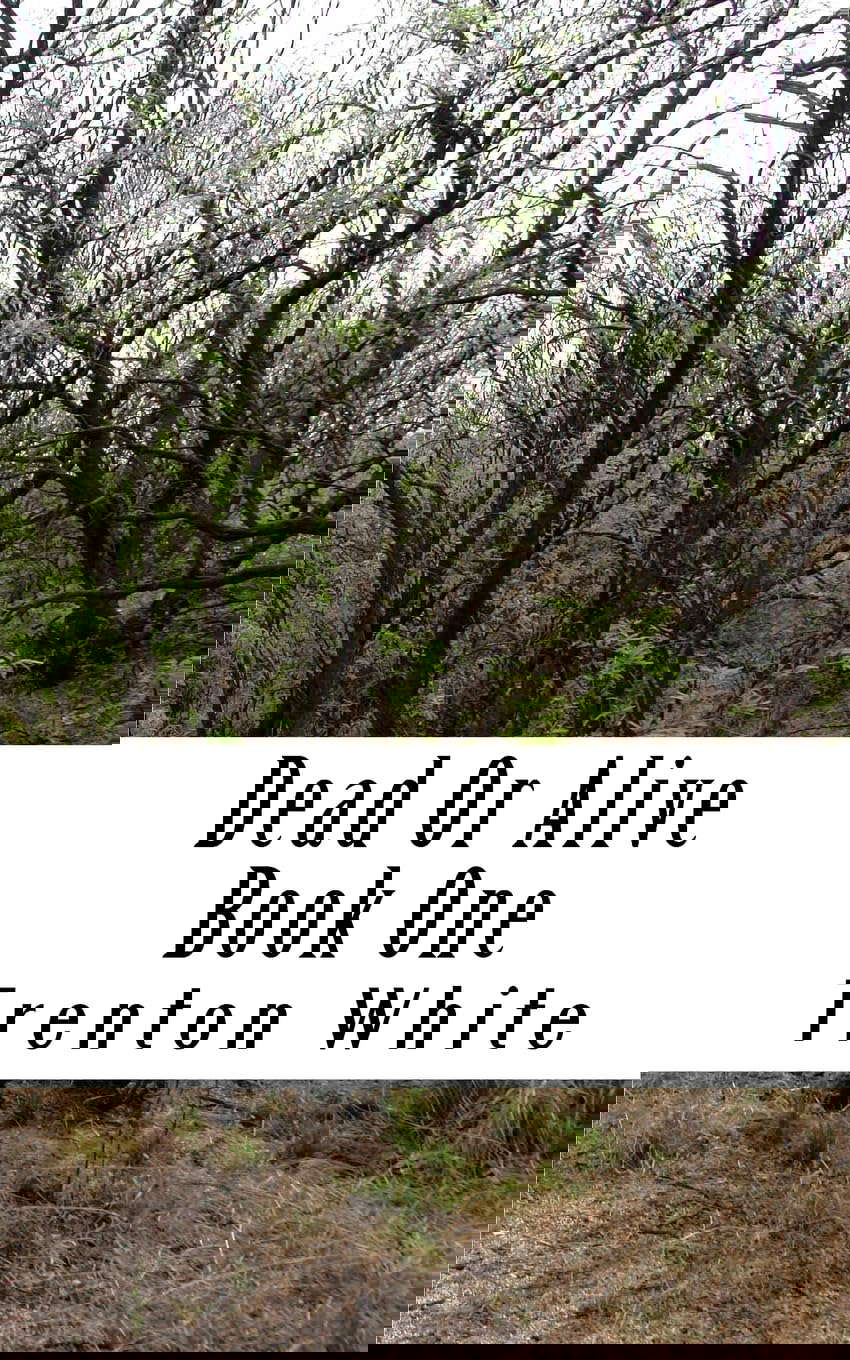 Dead Or Alive: Book One poster