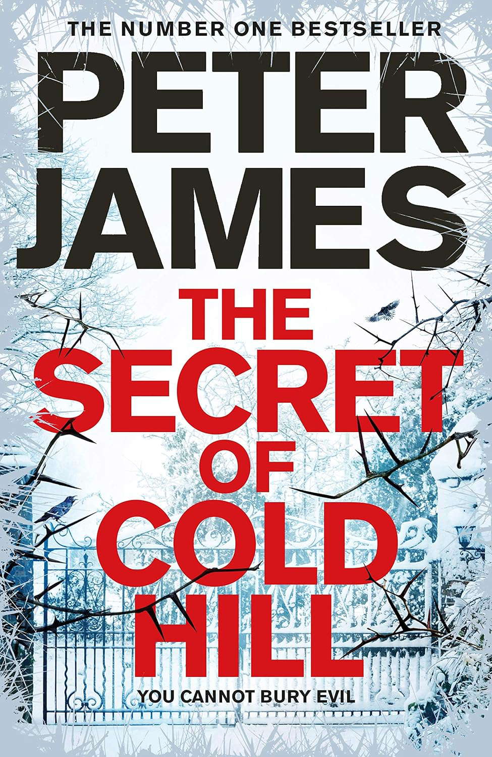 The Secret of Cold Hill poster