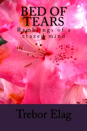 Bed of Tears: Ramblings of a crazed mind poster