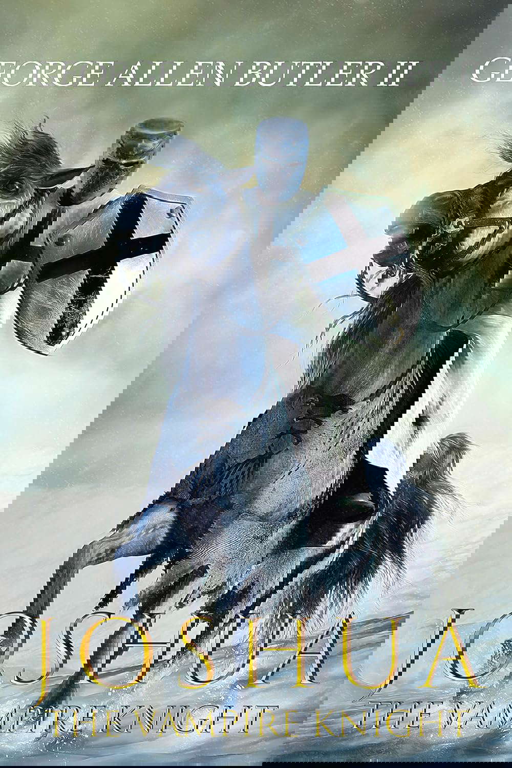 Joshua the Vampire Knight poster