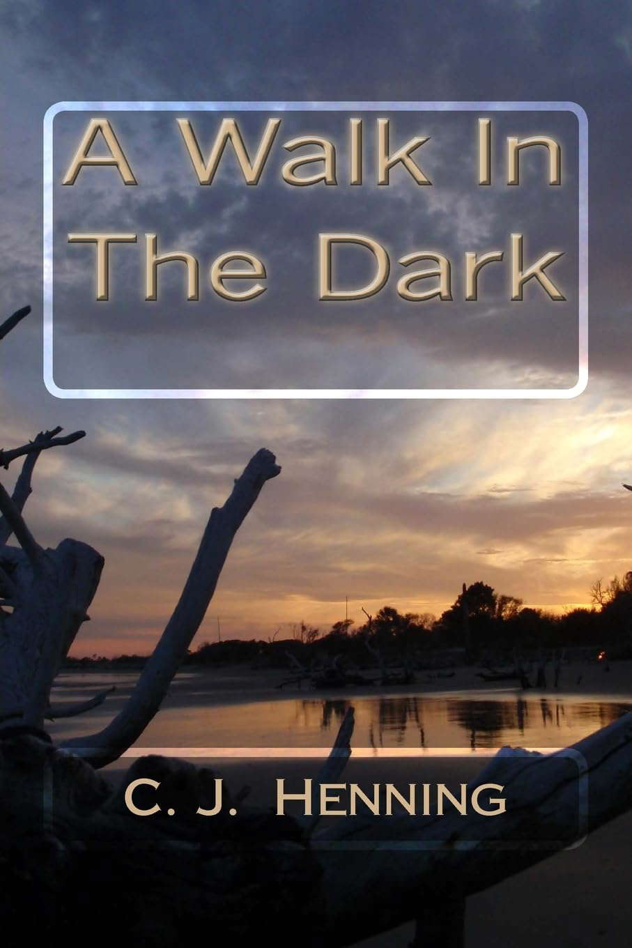 A Walk In The Dark poster