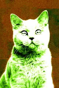 season poster