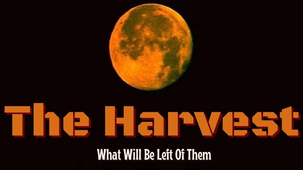 THE HARVEST | HORROR SHORT FILM