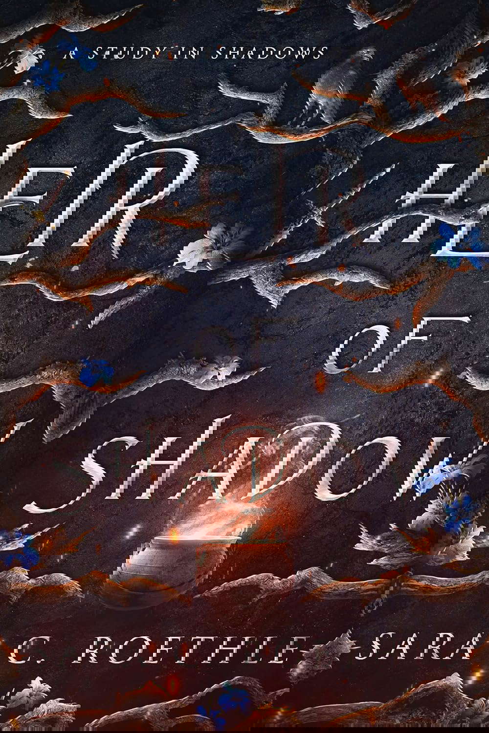 Heir of Shadow (A Study in Shadows Book 3) poster