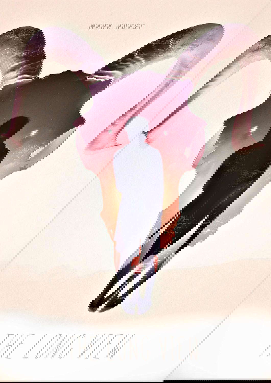 The Long View poster