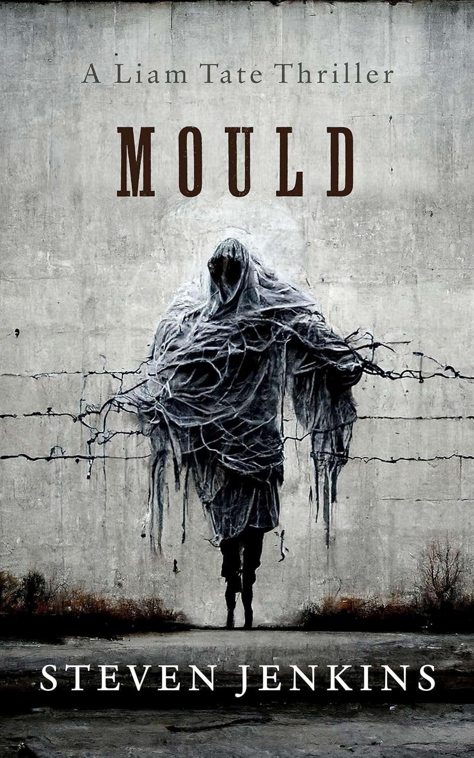 Mould: A Liam Tate Supernatural Thriller #1 poster