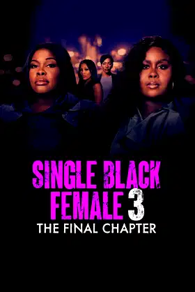 Single Black Female 3: The Final Chapter poster