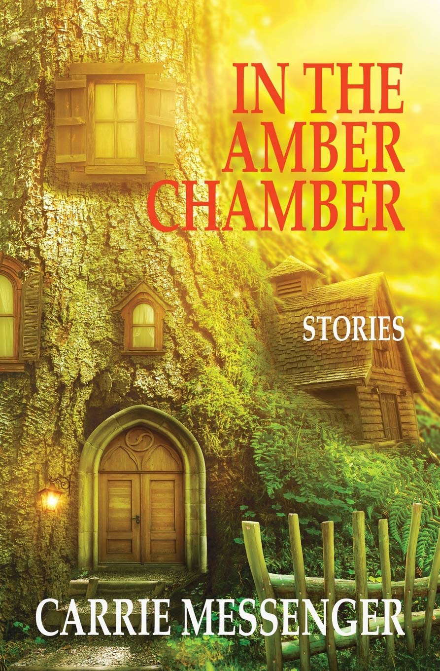 In the Amber Chamber: Stories poster