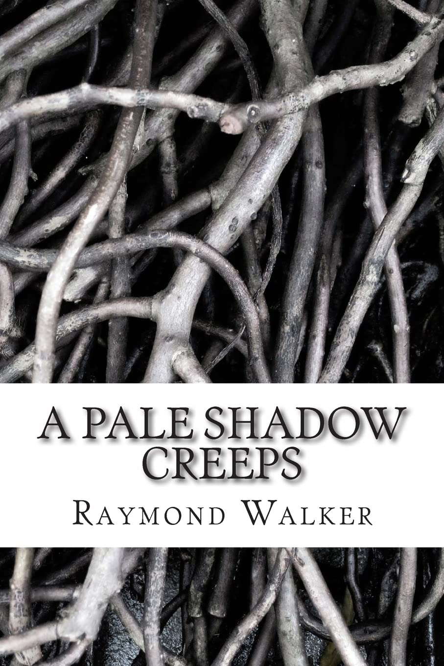 A Pale shadow Creeps poster