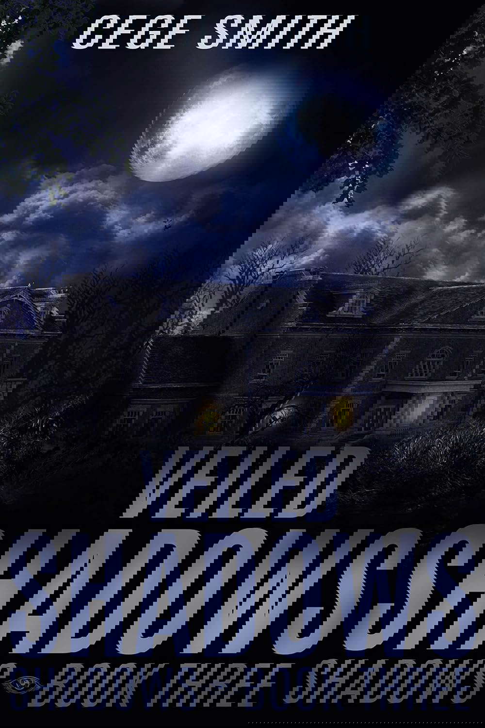 Veiled Shadows: (A Paranormal Demon Haunting) (Shadows Series Book 3) poster
