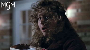 THE SILENCE OF THE LAMBS (1991) | Buffalo Bill Kidnaps Catherine | MGM poster