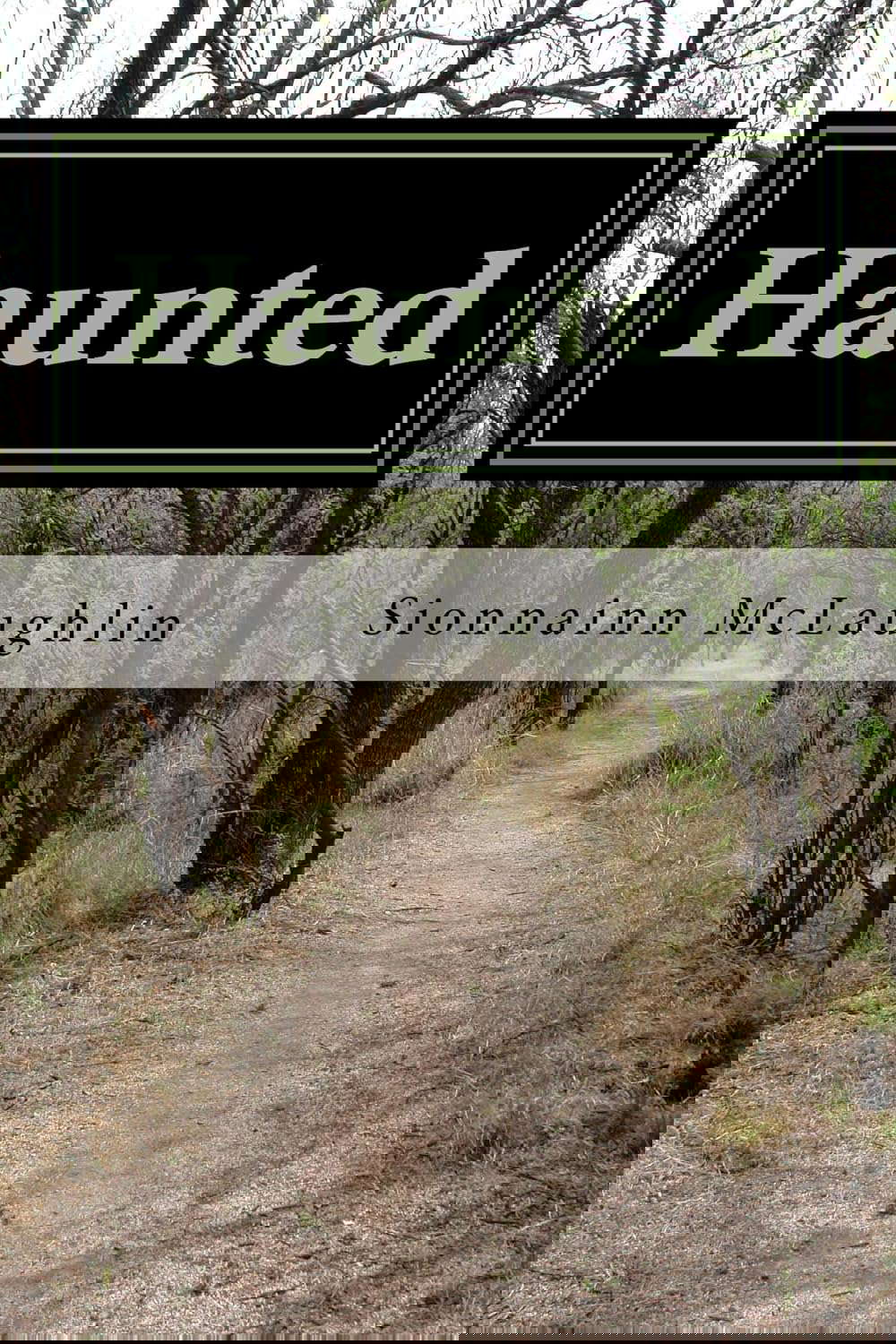 Haunted: True Stories of a Ghost Magnet poster
