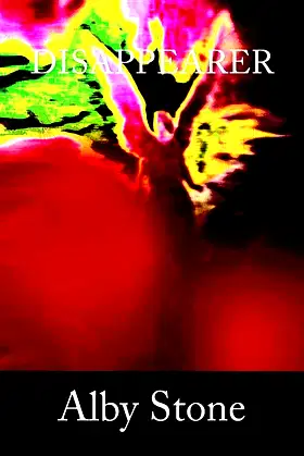 Disappearer poster