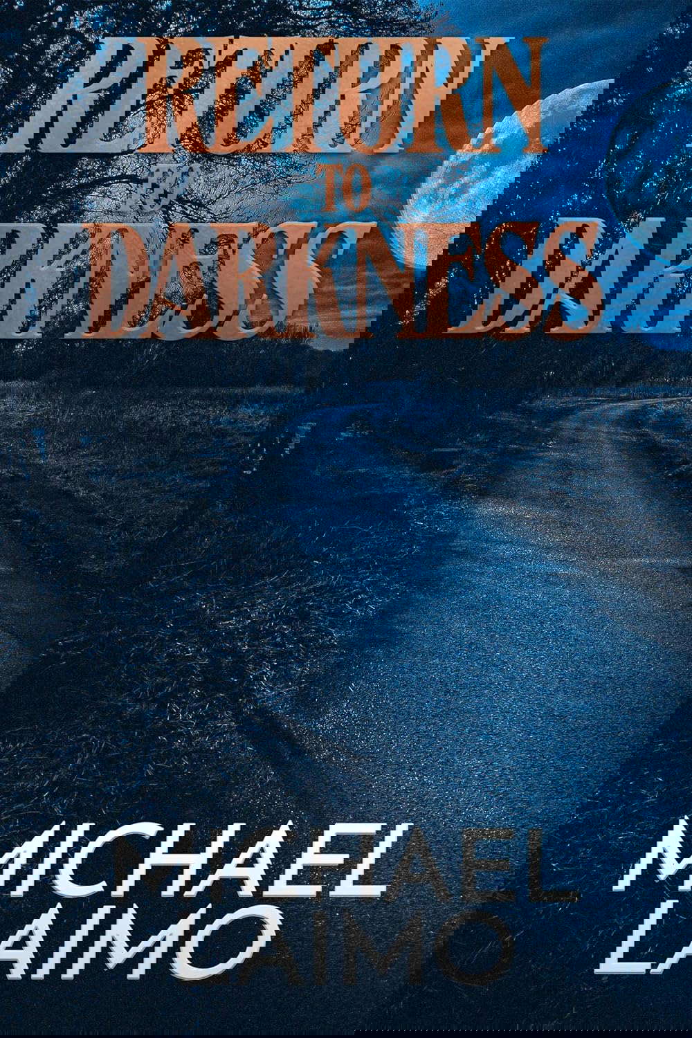 Return to Darkness poster