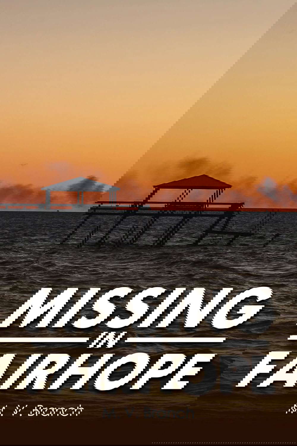 Missing in Fairhope poster
