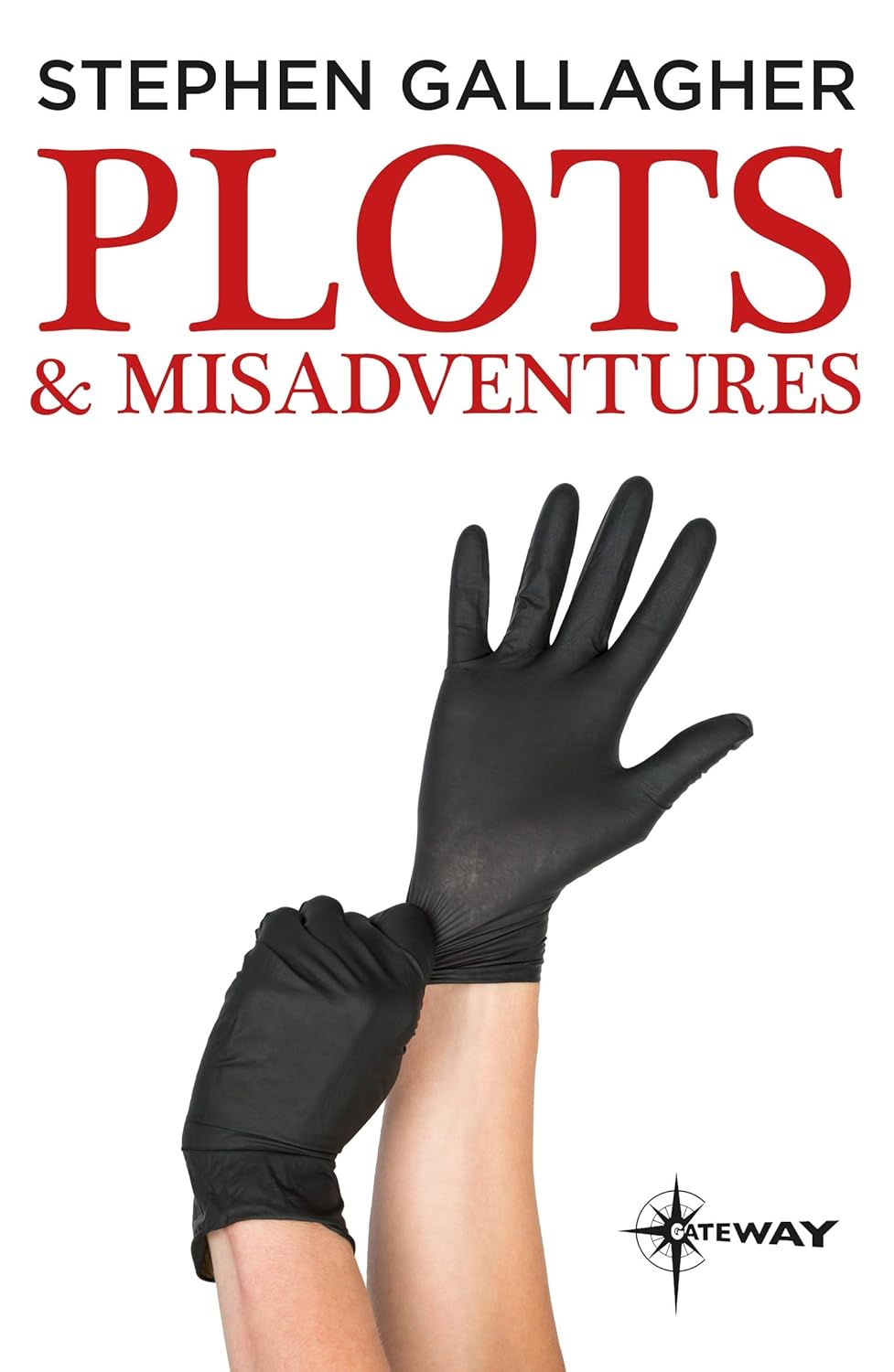 Plots and Misadventures poster