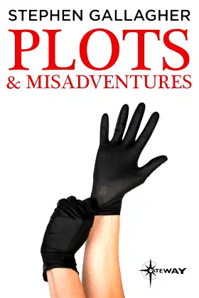 Plots and Misadventures poster