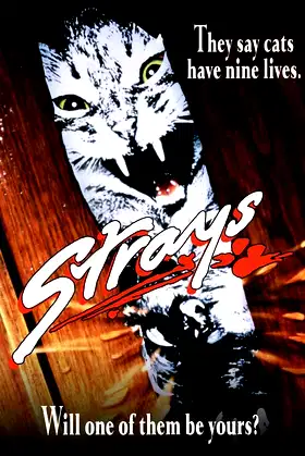 Strays poster