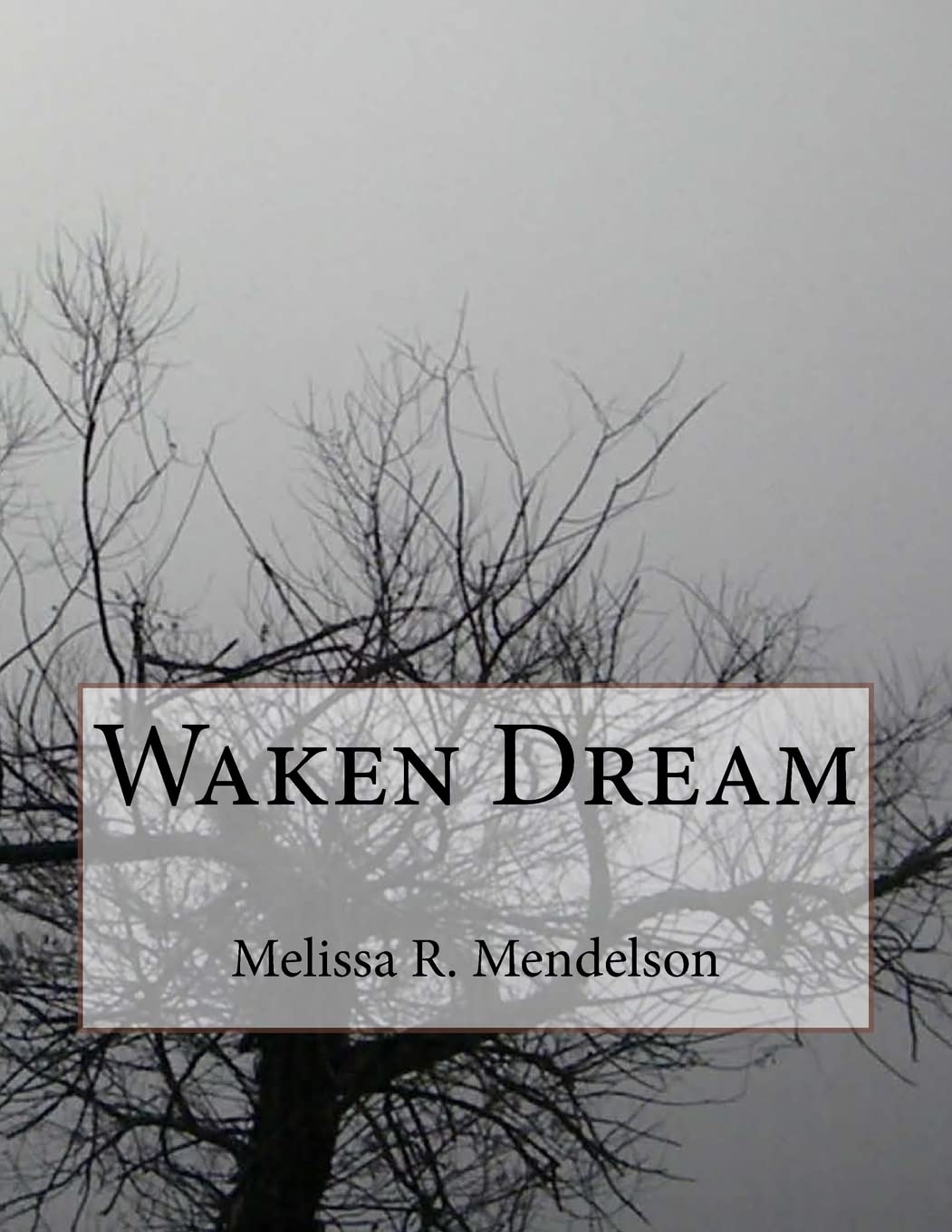 Waken Dream poster