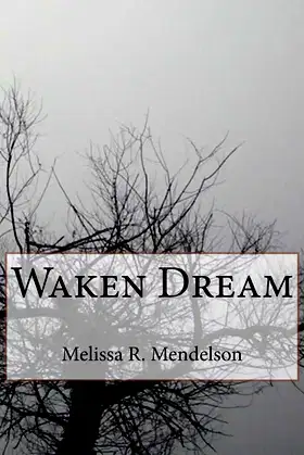 Waken Dream poster