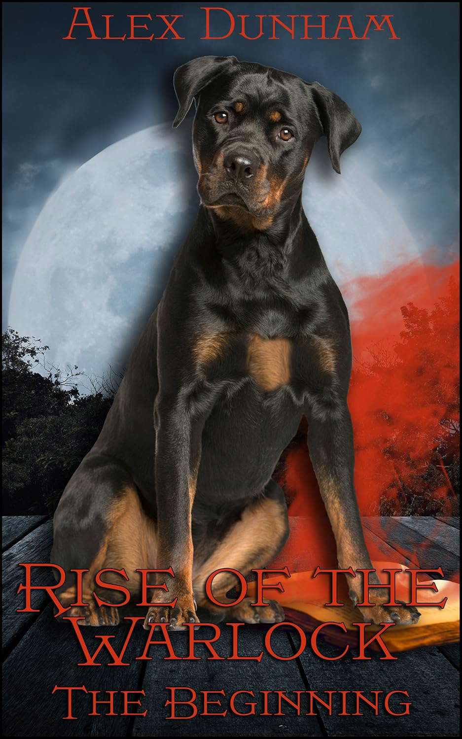 Rise of the Warlock: The Beginning: Book 1 of "Rise of the Warlock" poster