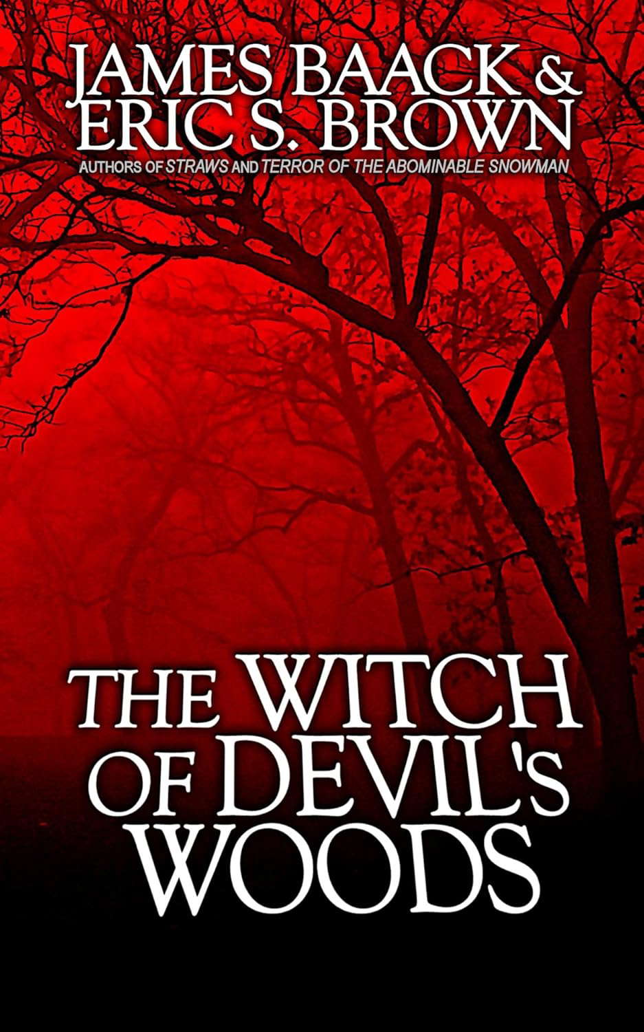 The Witch of Devil's Woods poster