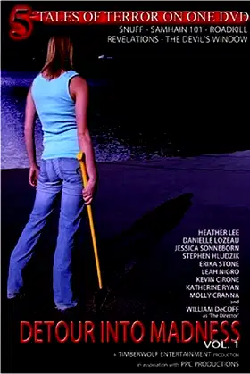 Detour Into Madness Vol 1. poster