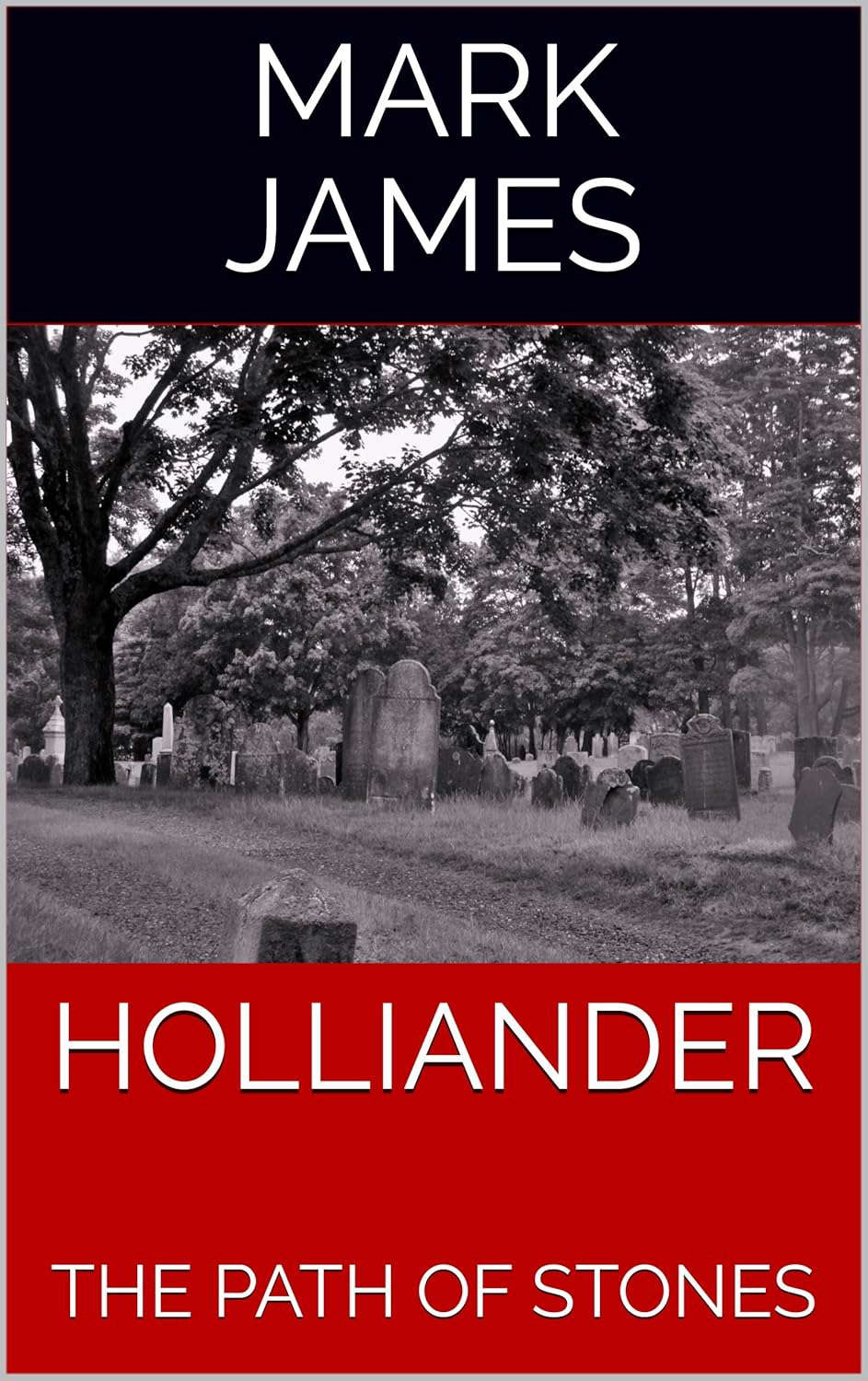 HOLLIANDER: THE PATH OF STONES poster