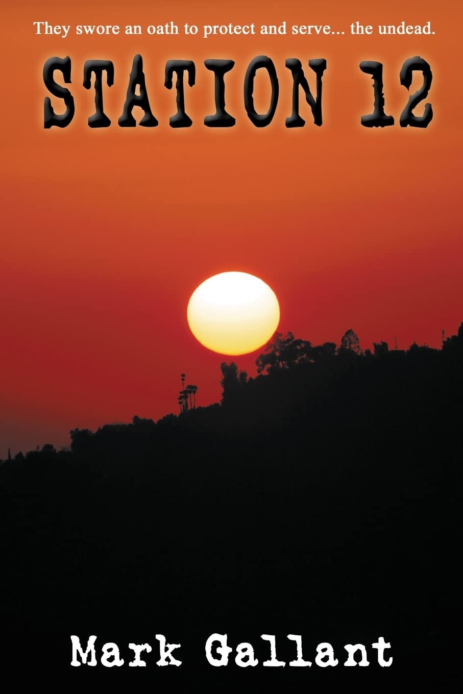 Station 12 poster