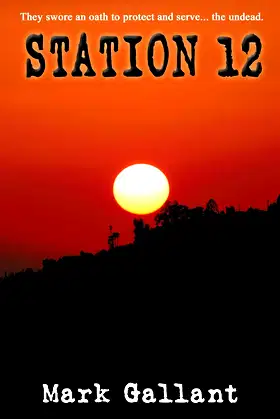 Station 12 poster