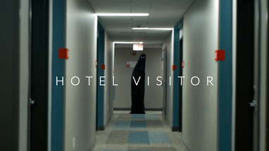 Hotel Visitor poster