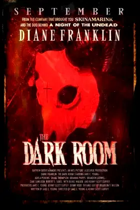 The Dark Room poster