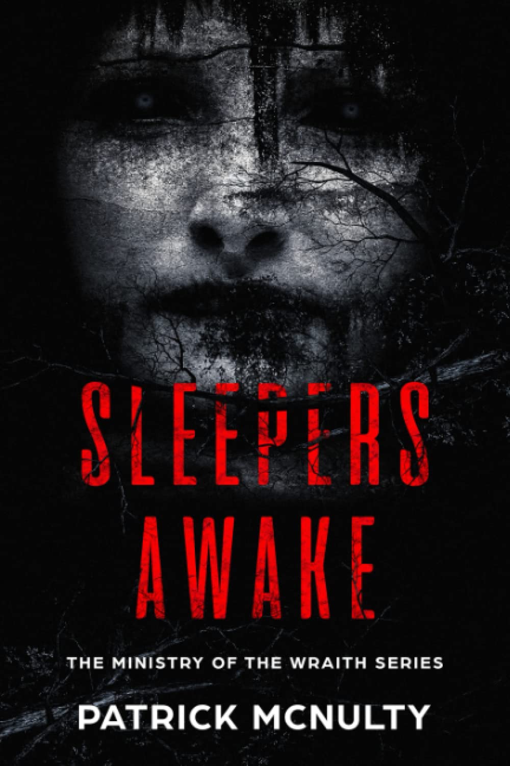 Sleepers Awake (A Ministry of the Wraith novel) poster