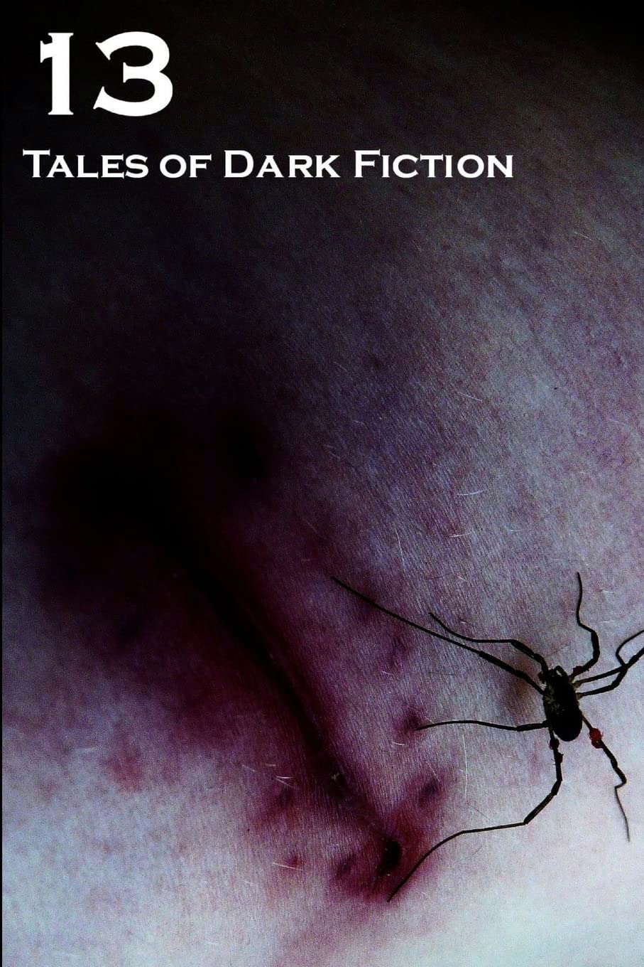 13: Tales Of Dark Fiction poster